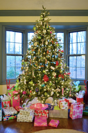 Screen Shot 2018-11-07 at 1.52.41 PM.png